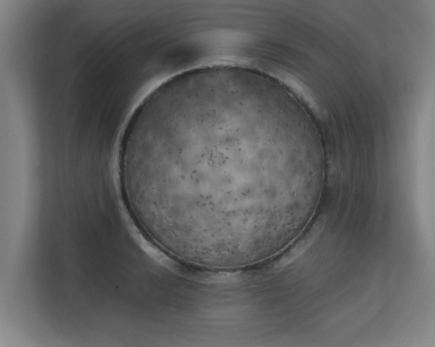 X0000111151038200907071105