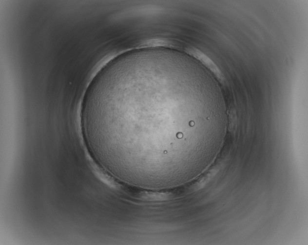 X0000111151039200907071105