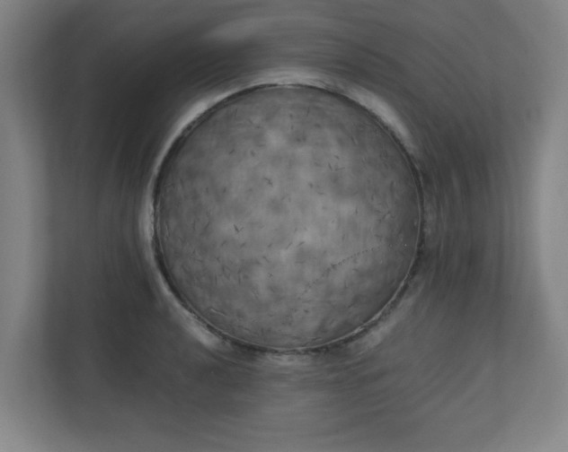 X0000111151040200907071105