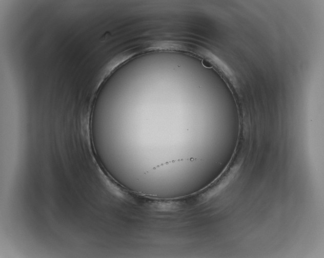 X0000111151041200907071105
