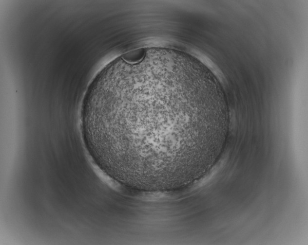 X0000111151042200907071105