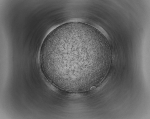 X0000111151044200907071105