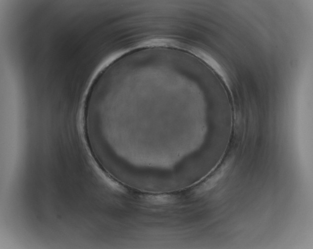 X0000111151045200907071105