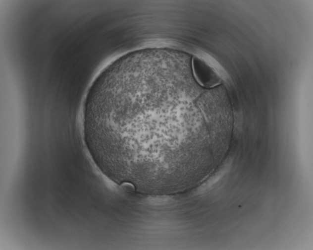 X0000111151046200907071105