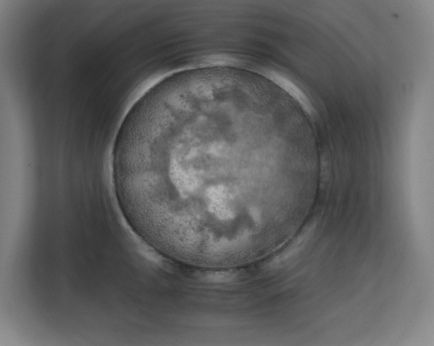 X0000111151047200907071105