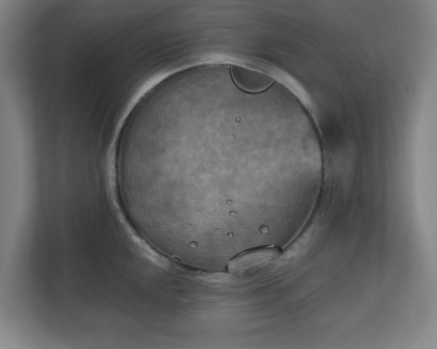 X0000111151048200907071105