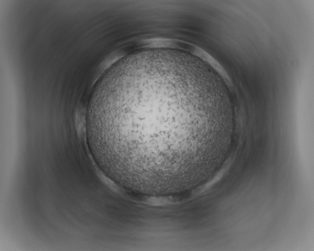X0000111151049200907071105