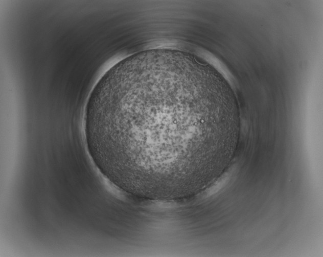 X0000111151050200907071105