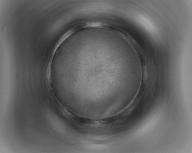X0000111151052200907071105
