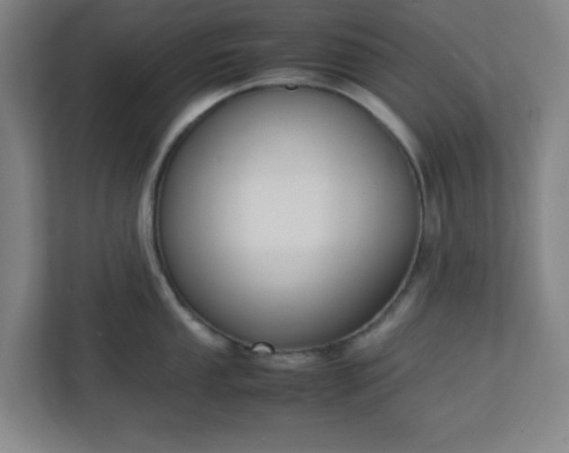 X0000111151053200907071105