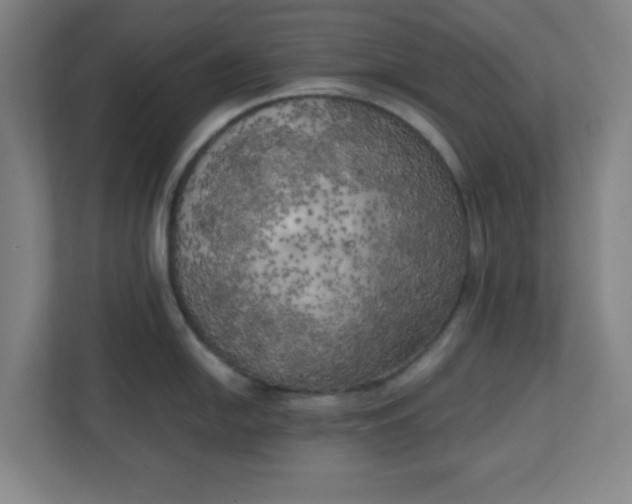 X0000111151054200907071105