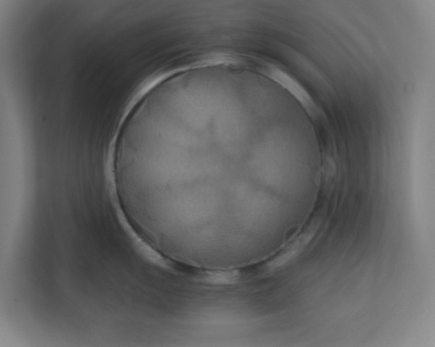 X0000111151055200907071105