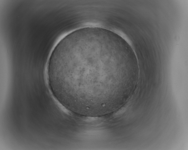 X0000111151056200907071105