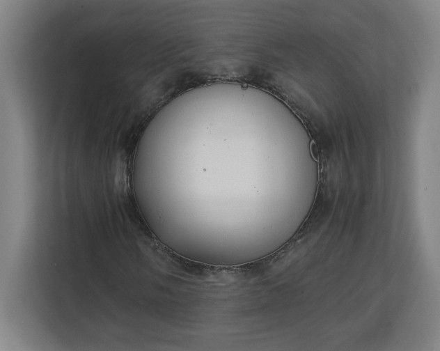 X0000111151058200907071104