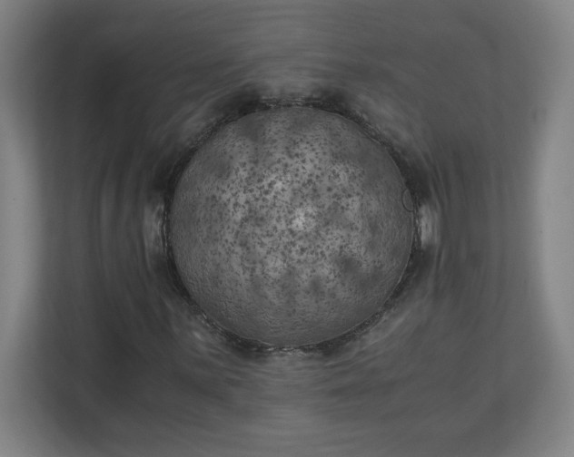 X0000111151059200907071104