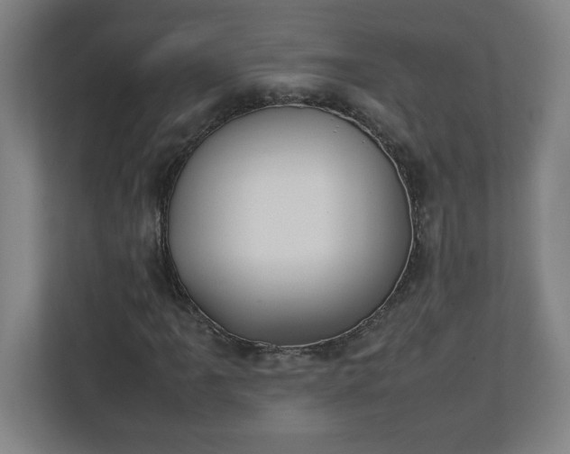 X0000111151061200907071104