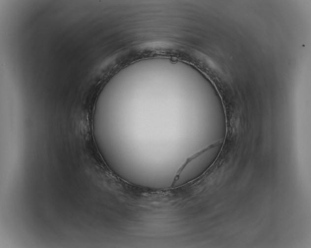 X0000111151062200907071104