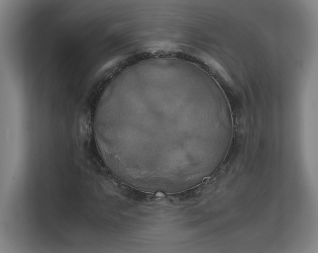 X0000111151063200907071104
