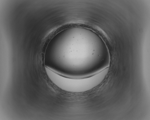 X0000111151064200907071104