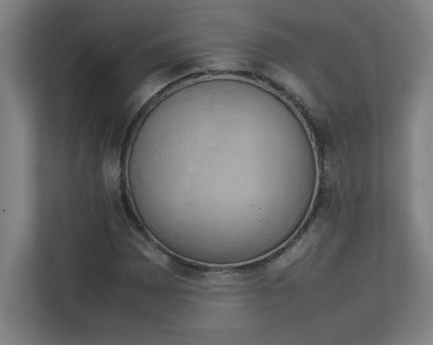 X0000111151065200907071104