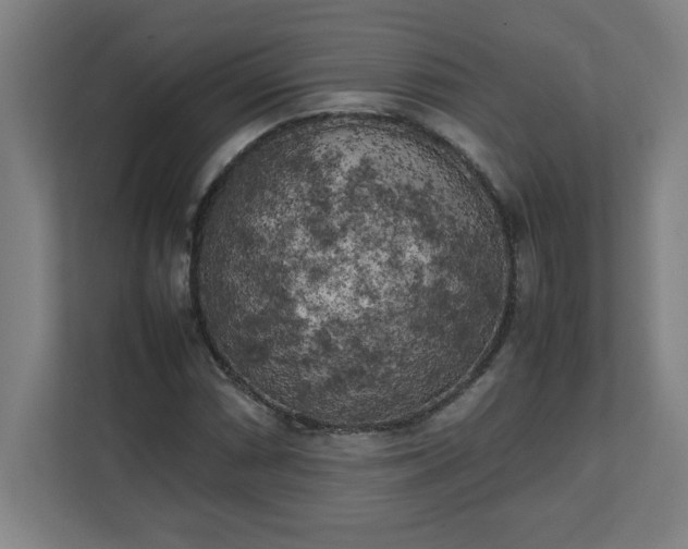 X0000111151066200907071104