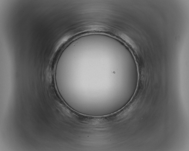 X0000111151067200907071104