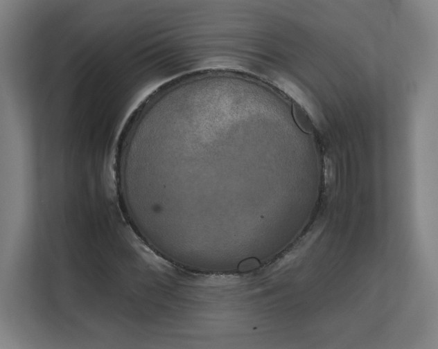 X0000111151068200907071104