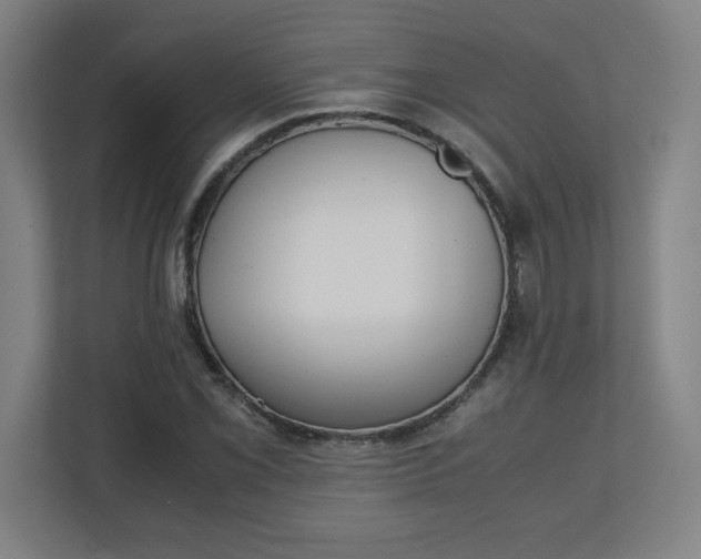 X0000111151069200907071104
