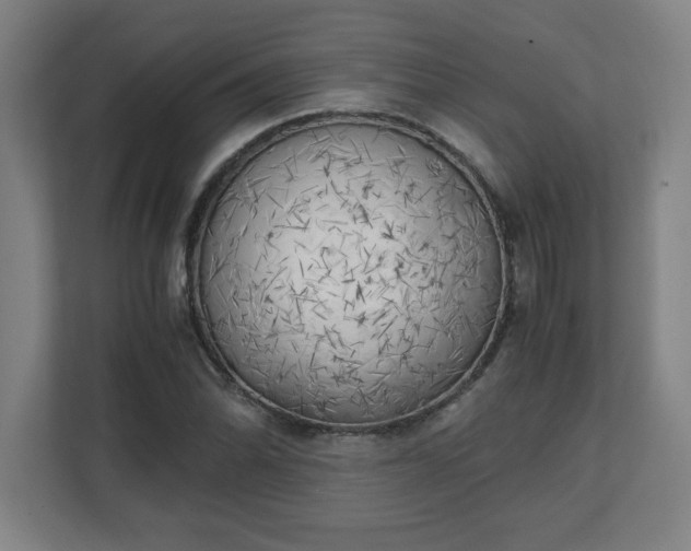 X0000111151070200907071104