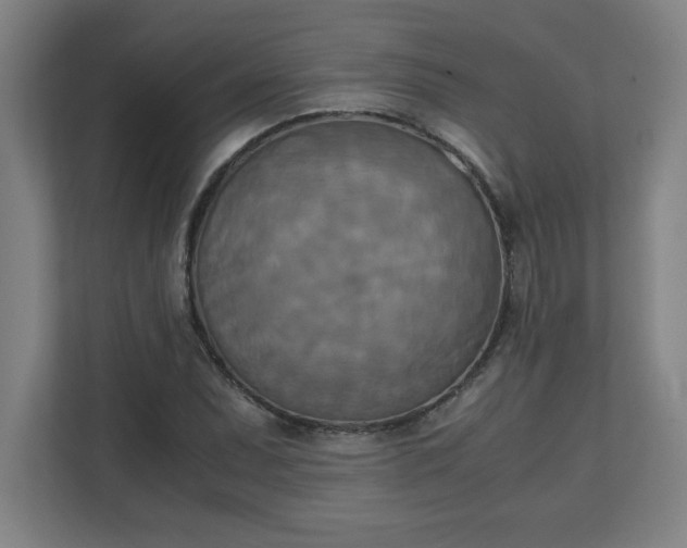 X0000111151071200907071104