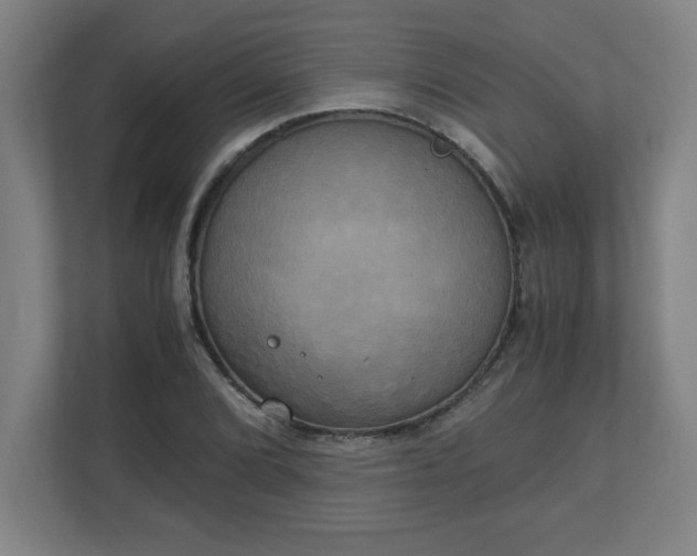 X0000111151072200907071104