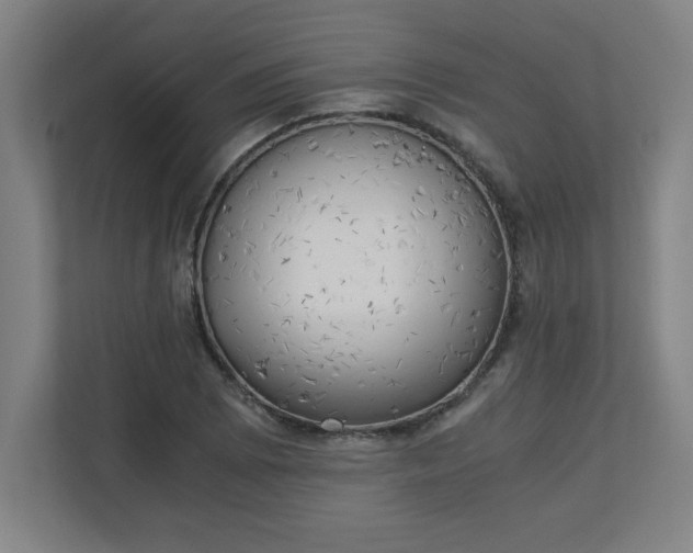 X0000111151073200907071104