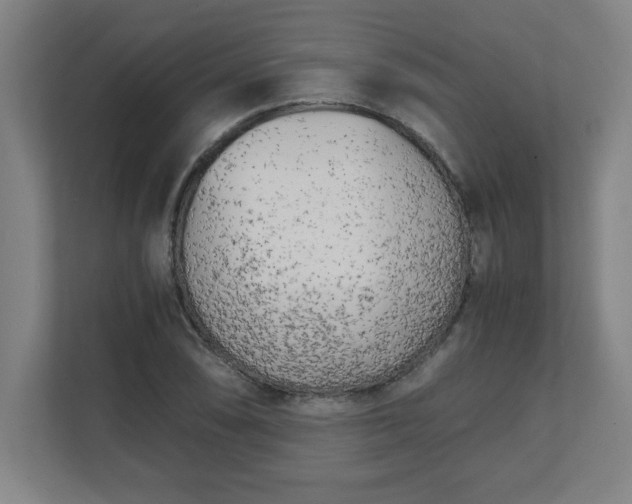 X0000111151074200907071104