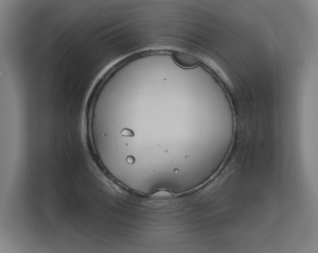 X0000111151076200907071104