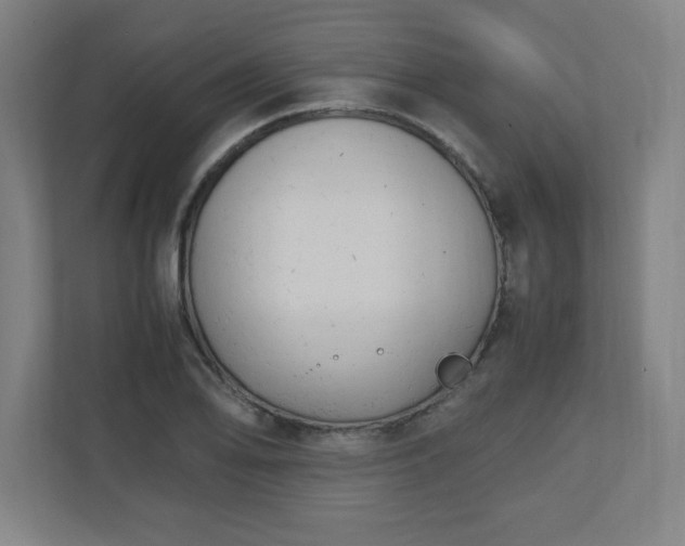 X0000111151078200907071104