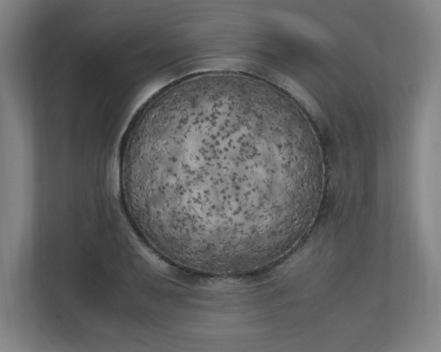 X0000111151079200907071104