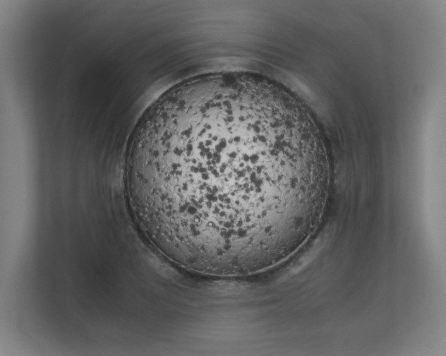 X0000111151081200907071104