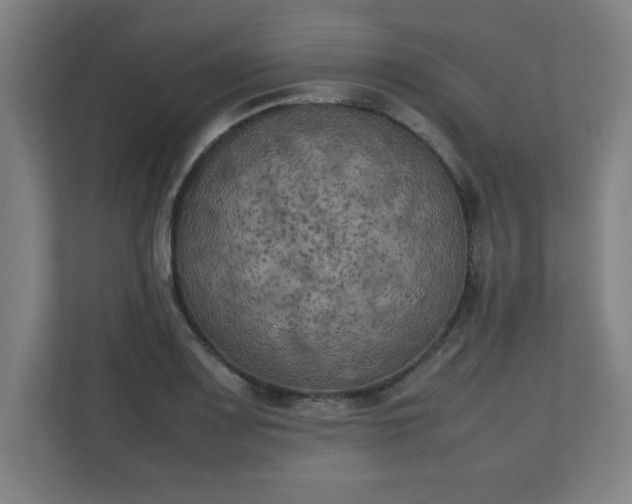 X0000111151083200907071104