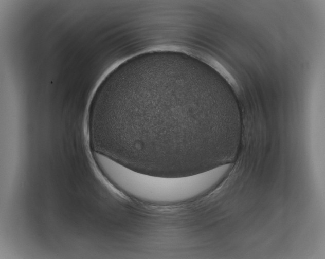X0000111151084200907071104