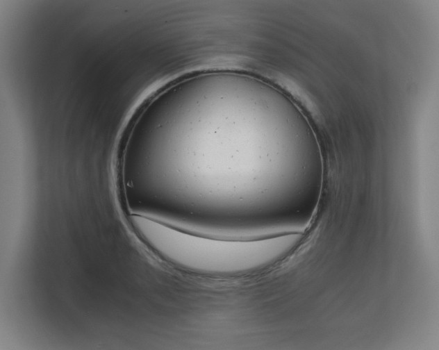 X0000111151085200907071104