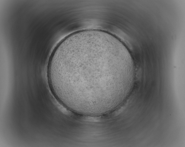 X0000111151086200907071104