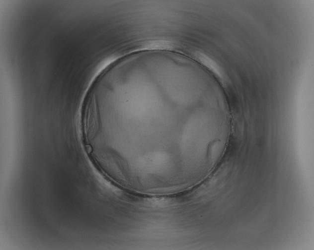 X0000111151087200907071104