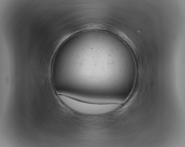X0000111151089200907071104