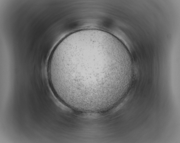 X0000111151090200907071104