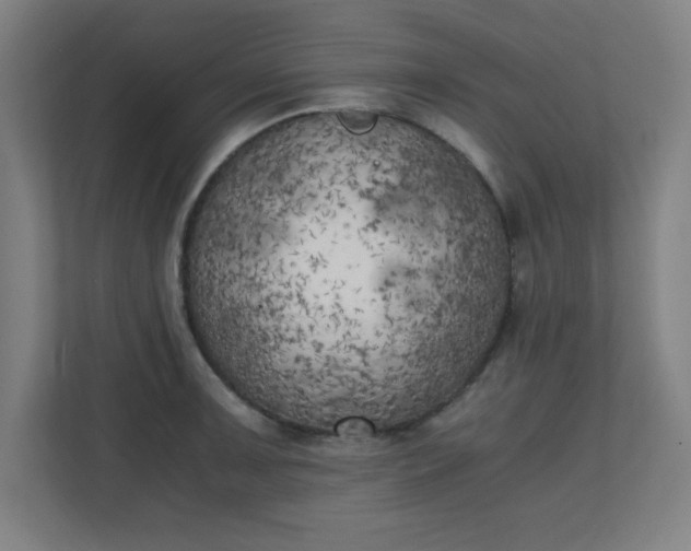 X0000111151091200907071104