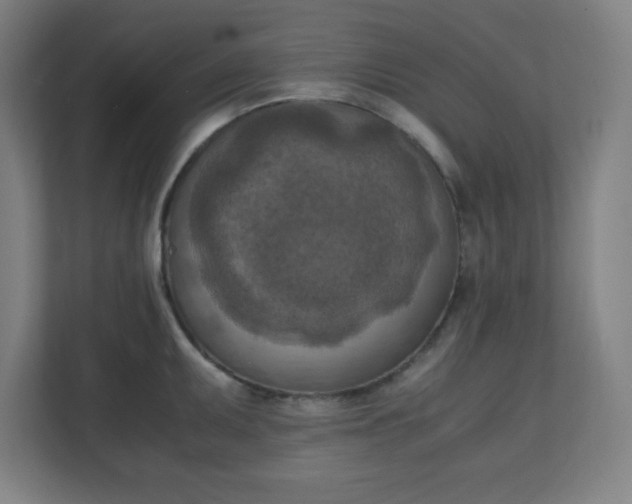 X0000111151095200907071104