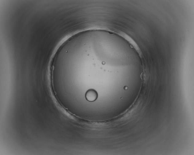 X0000111151096200907071104