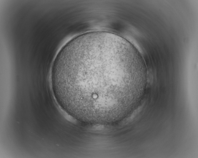 X0000111151098200907071104