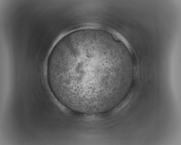X0000111151099200907071104