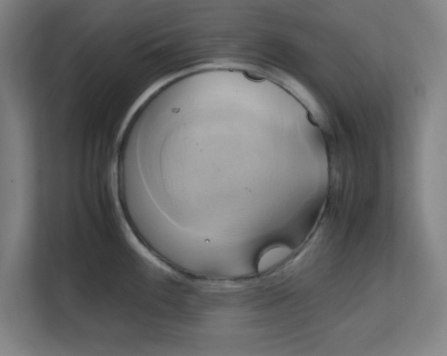 X0000111151100200907071104